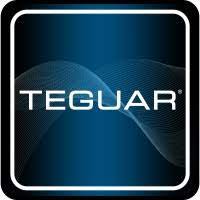 Digitizer Screen for RM-3845-10 Teguar TMT-3495-DIG