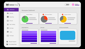 Realwear Cloud Pro - Device control License