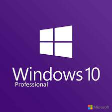 Windows 10 PROFESSIONAL EDITION OEM KEY GLOBAL