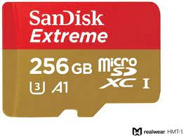 Micros SD Card (256 GB SanDisk Extreme) Realwear 171049