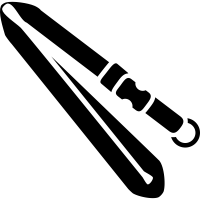 Zebra CV6021